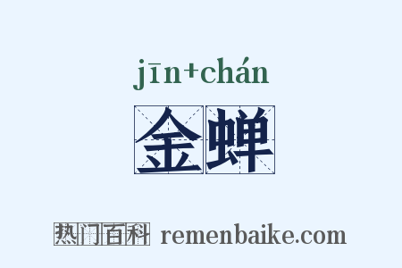 金蝉是什么意思的图片